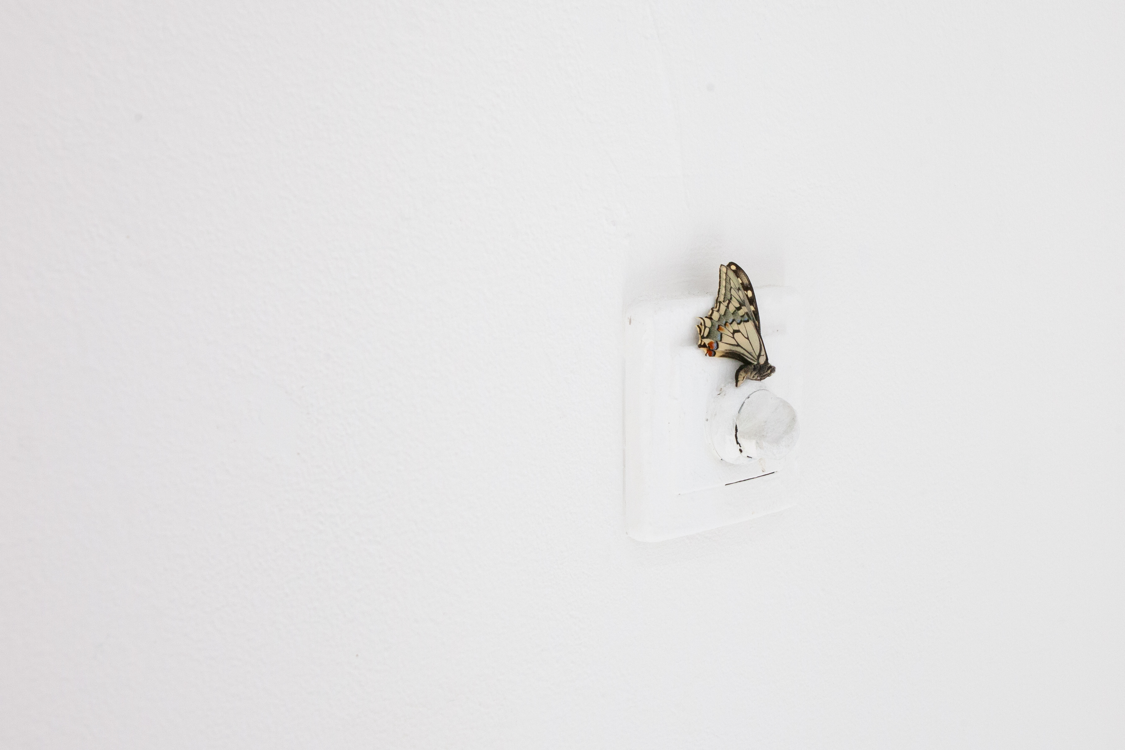 (Detail) <em>Teardrinkers</em>, 2024. Exhibition view: <em>Playlist for an eternal Autumn</em>, DNSEP, Haute Ecole des Arts du Rhin, Strasbourg (FR), 2024. Photo © ALLOK7.FR