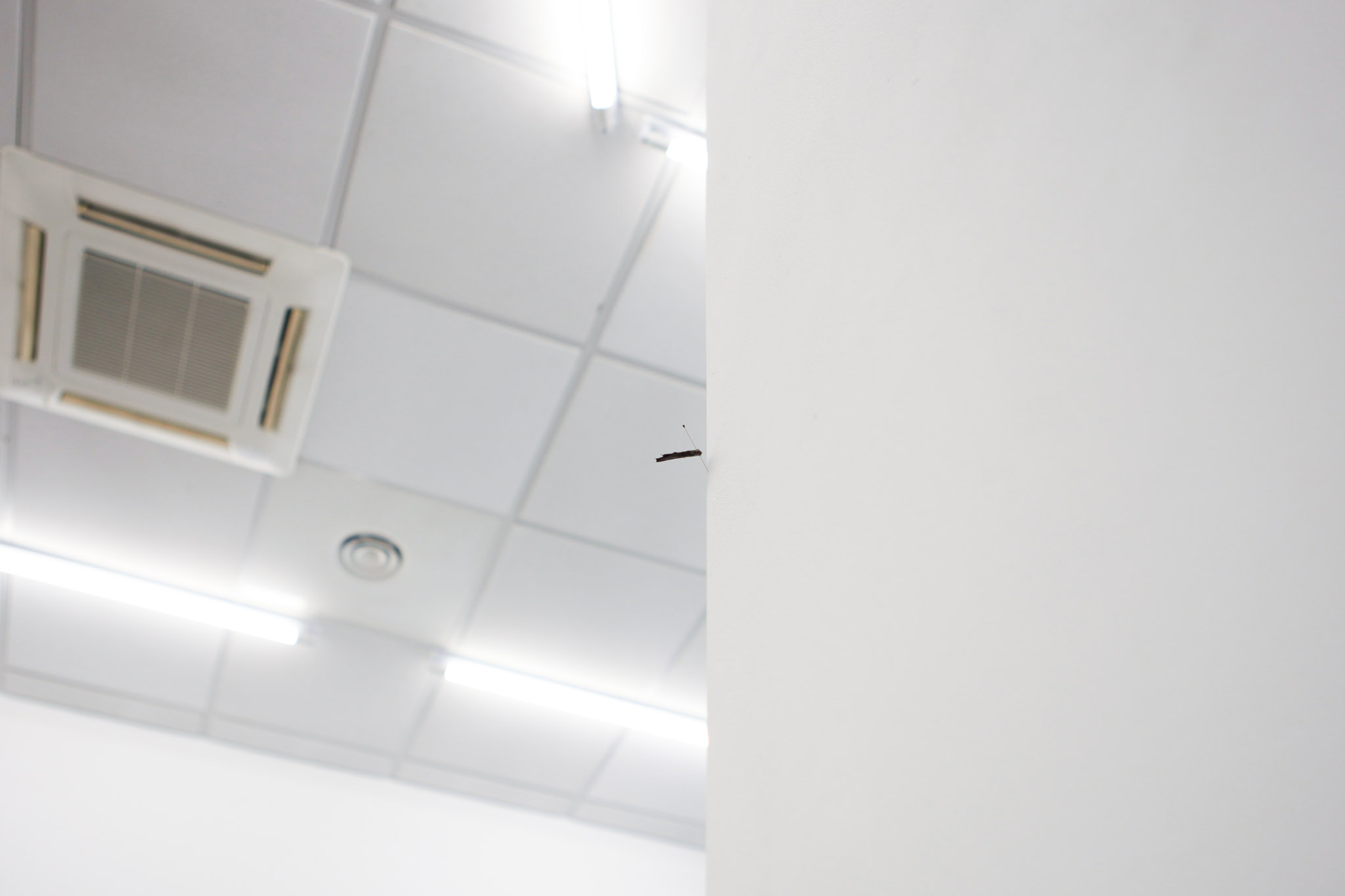 <em>Untitled (stargazing)</em>, 2026. Exhibition view: <em>Shhhtruz Aman Yavas</em>, cur. Julie Portier, Monopôle, Lyon (FR), 2026.